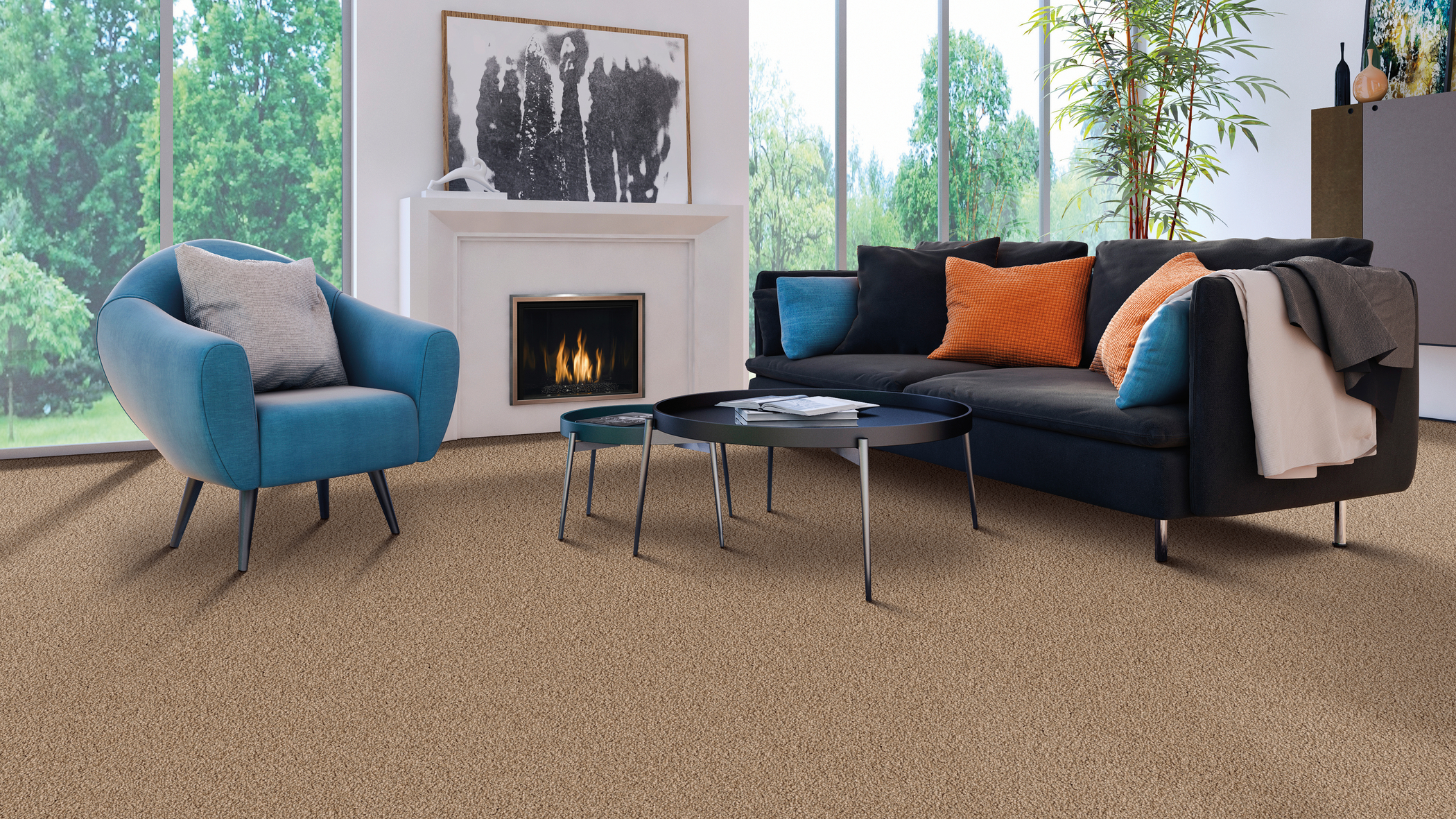 carpet in a living room