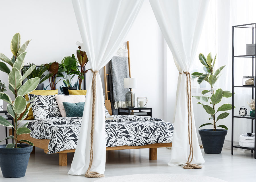 A white bedroom with a half canopy bed decorated with floral print sheets and pillows, and surrounded by large house plants.