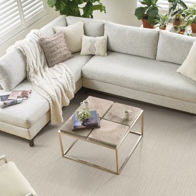 living room carpets in a bright Thomasville home